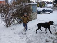 20241123_105931 (1024x768).jpg